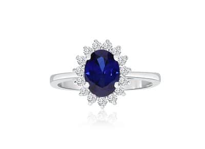 1607193360478_Photo232